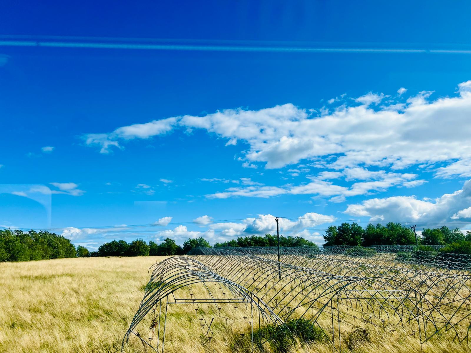 Professional & Relaxing M2M Massage – Central London